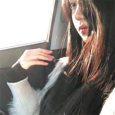 极岛森林第二季